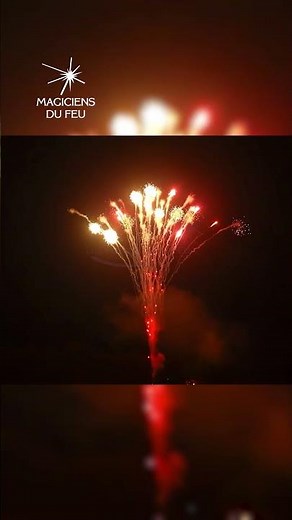 Feu d’Artifice Haut de Gamme 🎇 #feudartifice #fireworks #pyro #LesMagiciensDuFeu