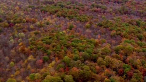 Aerials of stunning fall foliage captured over Western Pennsylvania
