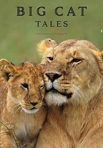 Big Cat Tales Season 2 - watch episodes streaming online