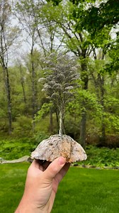 1.2K views · 72 reactions | “Youthful IV” found a new home! This...