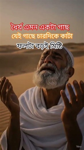 ধৈর্য এমন একটা গাছ #shaher_asman_dewan #মিজানুর_রহমান_আজহারী #istagfar #islamichistory