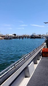 Dongara#marine#port#of#geralton#australia | S z y n x z シ