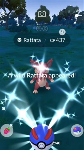 Check Out This Shiny ✨ Rattata #shorts #gaming #pokemon