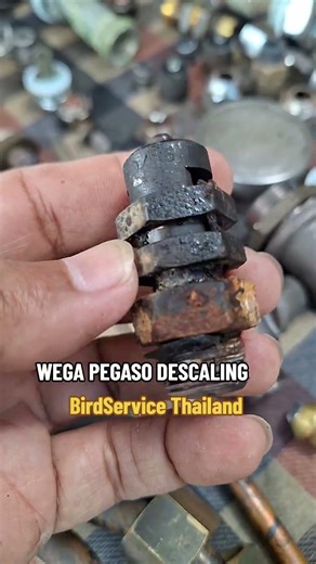 Wega pegaso Descale in Thailand by Technician Bird service coffee machine Maintenance team Thailand
