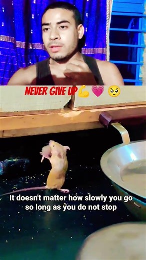 Success🏆💪 #viralvideo #trending #facts #reaction #shorts