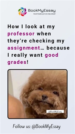 That Look I Give My Professor While They’re Checking My Assignment 👀📚 #assignment #writingadvice