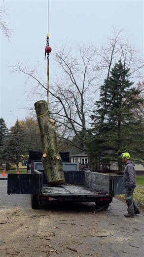 Dirty Cottonwood removal is Howell. Homeowner was relieved to see it gone! #monstertreeserviceofannarbor #justrightgrain #monstertreeservice #hatethecottonwood #craneday #stihl #bandit #treeremoval #treeservice #treelife | Monster Tree Service of Ann Arbor | Facebook