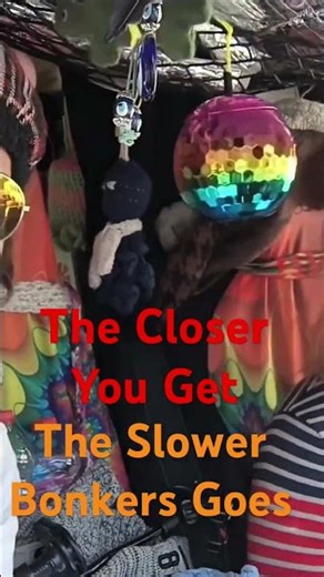 Vanlife Rule #1: Don’t Ride My Bumper 🚐✌️#vanlife #vanlifemoments #camperlife #vanlifeeurope