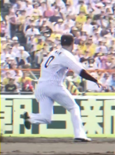 木浪聖也と阪神タイガースの物語