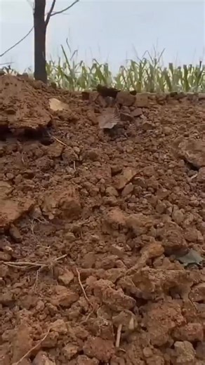 engineerbydesigne on Instagram: "This DIY Bunker House Is Fully Underground and He Built It With His Own Hands #DIY #diyproject #usa"