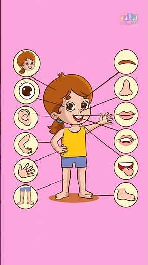 Parts of the Human Body for Children: Learning the Names! 👣👂