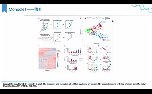 单细胞转录组高级分析 | 细胞分化分析 | monocle1原理