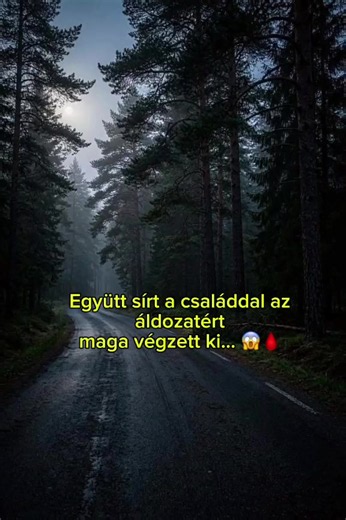 A Százhalombattai Rém 2. rész. 😱 Hogyan képes valaki ennyire hidegvérrel hazudni a saját családjának? Ne maradj le a 3. Befejező Részről, KÖVESD BE a csatornát! 🕵️‍♂️🩸 Szerinted képes a valódi megbánásra egy ekkora szörnyeteg? Írd meg kommentben!#truecrimehungary #szazhalombattairem #magyarhorror #bunugy #nekedbe