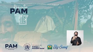 👵👴 Conoce qué es el Programa de Aporte Económico del Adulto Mayor y cuáles son los requisitos para acceder al mismo en el siguiente video. 🎥 #DíaDelAdultoMayor #UtzSamaj #MintrabAvanza | Ministerio de Trabajo y Previsión Social