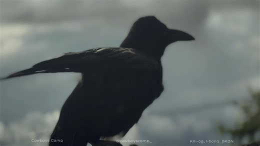 “𝖶𝖾𝖾𝗄𝖾𝗇𝖽𝗌 𝗂𝗇 𝖢𝗈𝗐𝖻𝗈𝗒𝗌 𝖢𝖺𝗆𝗉 𝗁𝗂𝗍 𝖽𝗂𝖿𝖿𝖾𝗋𝖾𝗇𝗍 — 𝗆𝗈𝗎𝗇𝗍𝖺𝗂𝗇 𝖺𝗂𝗋, 𝗌𝗅𝗈𝗐 𝗆𝗈𝗋𝗇𝗂𝗇𝗀𝗌, 𝖺𝗇𝖽 𝖺 𝗉𝗅𝖺𝖼𝖾 𝗐𝗁𝖾𝗋𝖾 𝖾𝗏𝖾𝗋𝗒𝗈𝗇𝖾 𝖿𝖾𝖾𝗅𝗌 𝖺𝗍 𝗁𝗈𝗆𝖾. 𝖴𝗇𝗉𝗅𝗎𝗀, 𝗎𝗇𝗐𝗂𝗇𝖽, 𝖺𝗇𝖽 𝗆𝖺𝗄𝖾 𝗆𝖾𝗆𝗈𝗋𝗂𝖾𝗌 𝗒𝗈𝗎’𝗅𝗅 𝗐𝖺𝗇𝗍 𝗍𝗈 𝖼𝗈𝗆𝖾 𝖻𝖺𝖼𝗄 𝗍𝗈. 🤎🌄” Follow our page for official updates, announcements, and exclusive offers. For reservations: You may book directly through our page or send us a message to secure your preferred dat