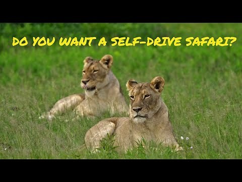 The BEST Self-drive Safari | Botswana 4x4 | Self Drive 4x4 Rental ( Safari)