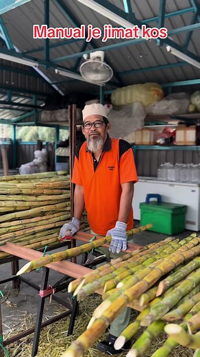 Cutting Sugarcane: A Manual Guide in Agriculture