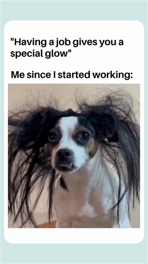 Candid Software on Instagram: "This is my manager’s love showing on my face 💇😁 #viral #reels #memes #explore #fyp #corporateeworld #officememes #corporatememes #officehumor #office #sarcastic #sarcasticmemes #trending #officelife #workpressure #corporate #officememes #corporatelife #corporatereel #businessmemes #corporateculture #officefun #meeting #CandidSoftware"