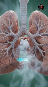 What Vaping Does to Your Lungs | Learn wat current evidence tells us about vaping/respiratory health