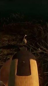 THE MOST IMMERSIVE HUNTING SIM! #BULT