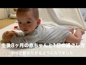 【生後8ヶ月】1日の過ごし方
