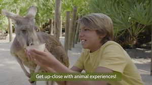 Get up close and personal with sloths, and feed kangaroos and stingrays at Brevard Zoo! | Brevard Zoo