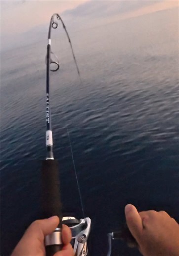 Catch Bonito While Deep Dropping: Tips & Tricks