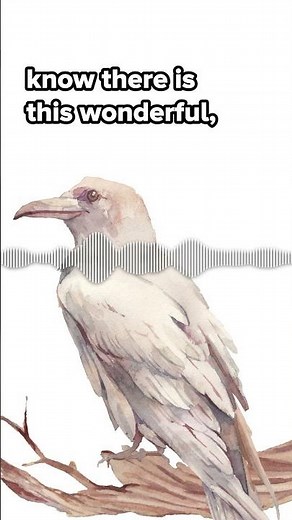 A white raven in Alaska