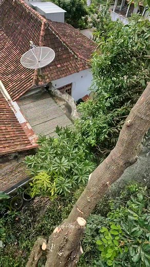 slashcut combine peelcut. you can do it easily any time. but you have to be careful if you use these two methods | Erwan Hasena Putra