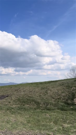 just a couple of weeks and it’ll be green and blooming again 🥹🤍🧚‍♀️#wnc #asheville #hiking #blueridge #parkway
