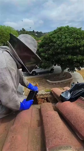 I opened this roof and found a massive hidden beehive