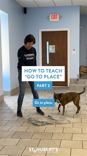 2.6K views · 32 reactions |  Let’s continue to teach “Go to place”.瑩...