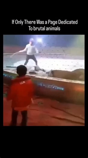 the brutal nature on Instagram: "Follow @thebrutal_nature for more 荷兰正在测试一种会发电的道路。这些道路表面铺设了特殊的太阳能板，并覆盖着一层透明且非常坚固的保护层。当阳光照射到路面时，太阳能电池会吸收光能并将其转化为电能。这些电力可以用于街道照明、交通信号灯，甚至为电动车充电。 虽然每一小段道路产生的电量有限，但在长距离和高曝光的路段，累计起来的电力相当可观。这项技术不仅减少了对化石燃料的依赖，还为建设可持续和智能城市提供了新的可能性，让日常基础设施也能成为清洁能源的来源。 #荷兰＃你知道吗#知识#科技#创新事实可再生能源智能城市技术实验热门"