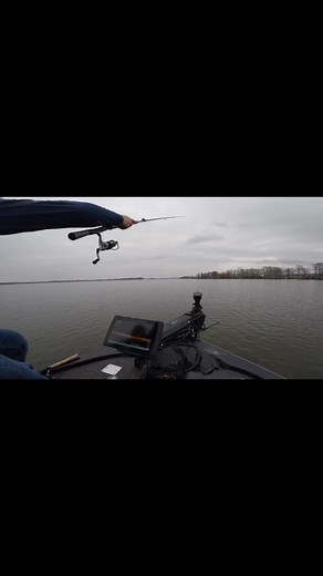 Warm weather is coming soon. Call or message to get your next trip booked on one of the most beautiful natural lakes in the continental USA. #crappiefishing | Homra's Reelfoot Lake Guide Service and lodging