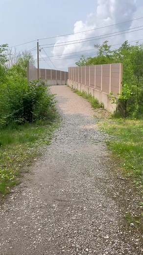 Jeanette Miller-Zito (@jeanettemiller264)’s videos with som original - MileyHearts