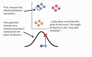 StatQuest: t-SNE, Clearly Explained