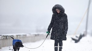 Snow Day Calculator predicts if schools will close for snow