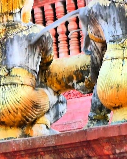 Poor baby monkey cry very scared can't climb up follow mother | Entertainment Monkey Galaxy