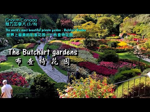 The most beautiful private garden in the world-Butchart Garden 世界最美私家花园 -- 布查特花园