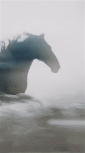 Alexander Studios on Instagram: "The new collection is almost here, and y’all aren’t ready yet! 🤩 FW26 — inspired by nature, powered with grace. Get ready to be amazed!"