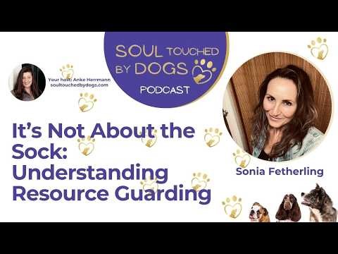 It’s Not About the Sock: Understanding Resource Guarding with Sonia Fetherling