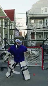 Meet the new Smart Backstop for Hockey 🏒