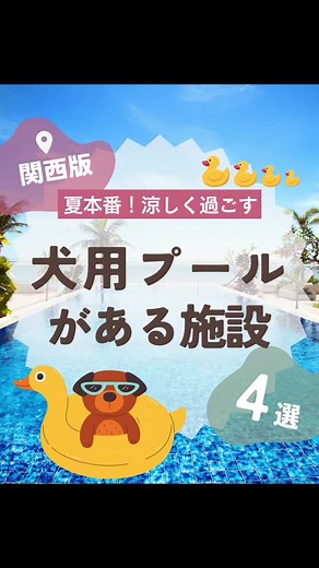 夏本番！犬用プールがある施設4選(関西版)🐶 #ペット #犬 #愛犬 #犬のいる生活 #プール #犬とおでかけ #犬用プール #ドッグプール #関西プール #犬プール