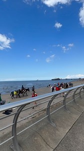 Blackpool donkeys 🫏 | Global Adventures