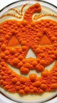 What Happens When Scientists Get Spooky With Petri Dishes?