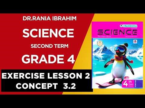 Grade 4 Lesson 2 Concept 3.2 2026 "Solution to Lesson 2, Concept 2, Science, Year 4, Term 2"