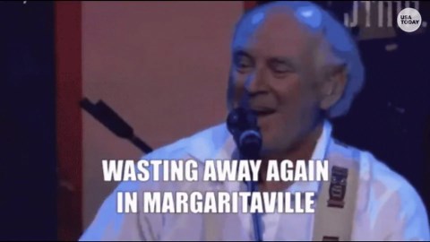 Jimmy Buffett's 'Margaritaville' cruise to sail from Port of Palm Beach to Bahamas