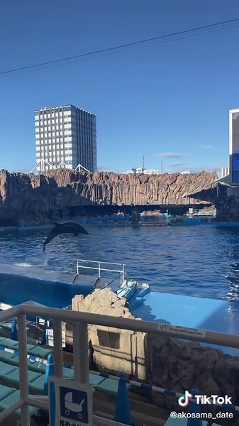名古屋港水族館の魅力と海の生き物たち