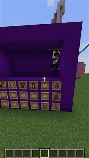 Random Transformation Challenge #minecraft #minecraft