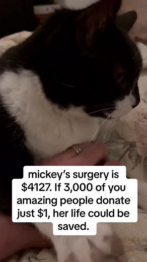 Bianca (@pleasehelpmickey)’s videos with son original - RRCentral